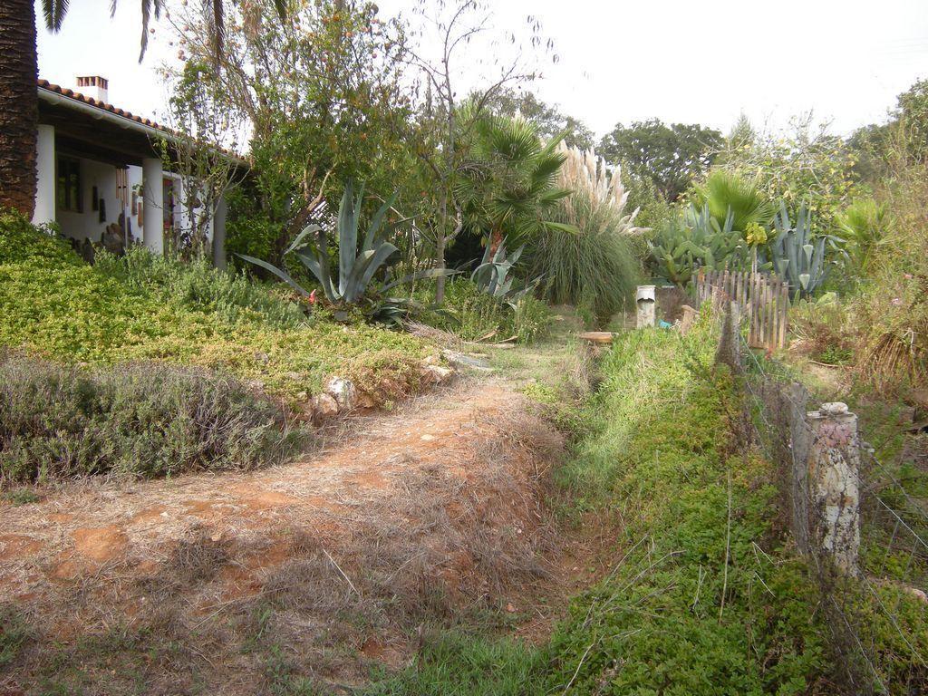 Monte Da Gravita Ribeira do Salto Habitación foto
